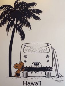 日焼けのスヌーピーがハワイ限定で大人気 3店のモニホノルルでゲット